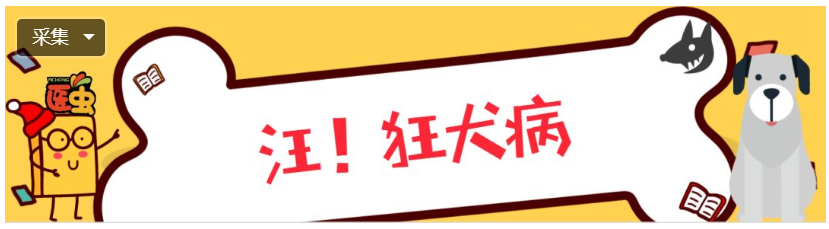 翁泉海都治不好的狂犬病，到底有多可怕！